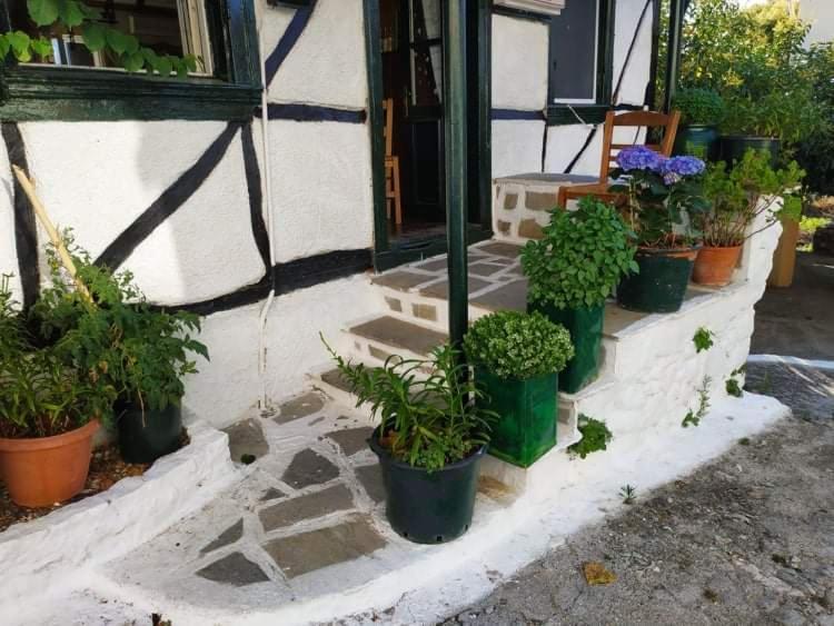 Lefkada Villas Panoramic Katouna Bagian luar foto